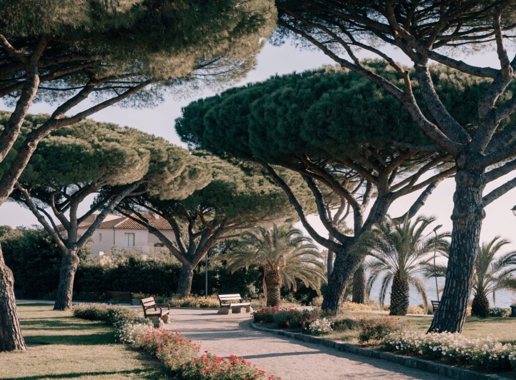 Zona ajardinada del Jardín del Mar, con pinos, palmeras y un paseo peatonal